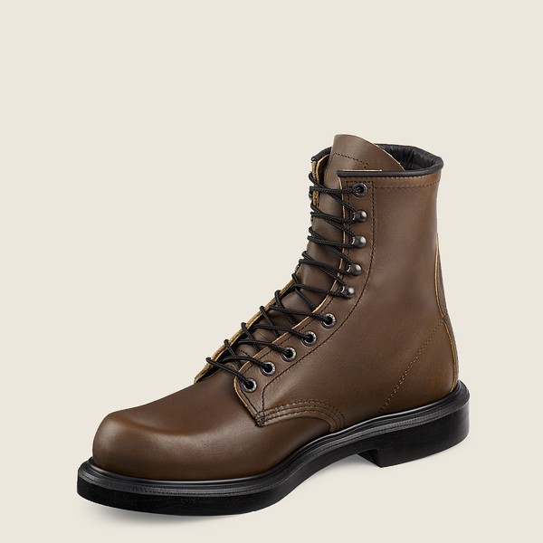 Red Wing Work Boots Supersole® - 8-Inch Soft Toe - Mørke Brune - Herre 6392-CTERA